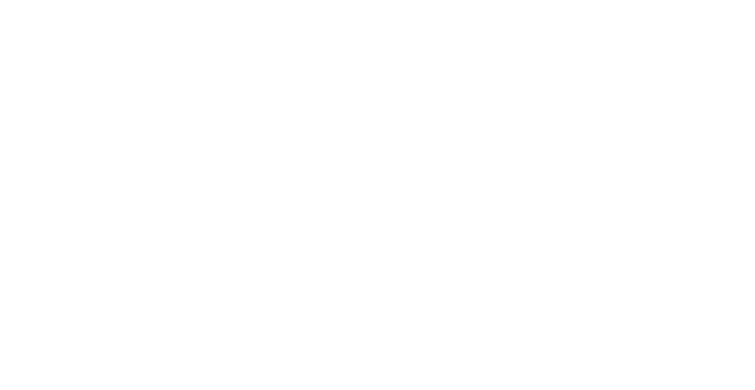 IIC Logo