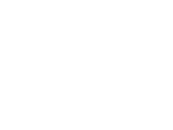 NSS Logo