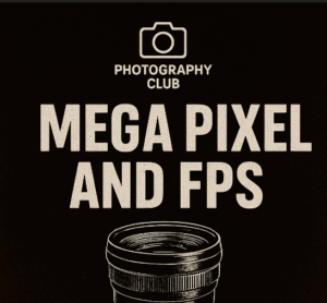 MEGA PIXEL AND FPS